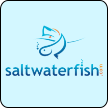 Salt WaterFish
